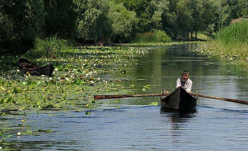 Delta Dunaje, Rumunsko